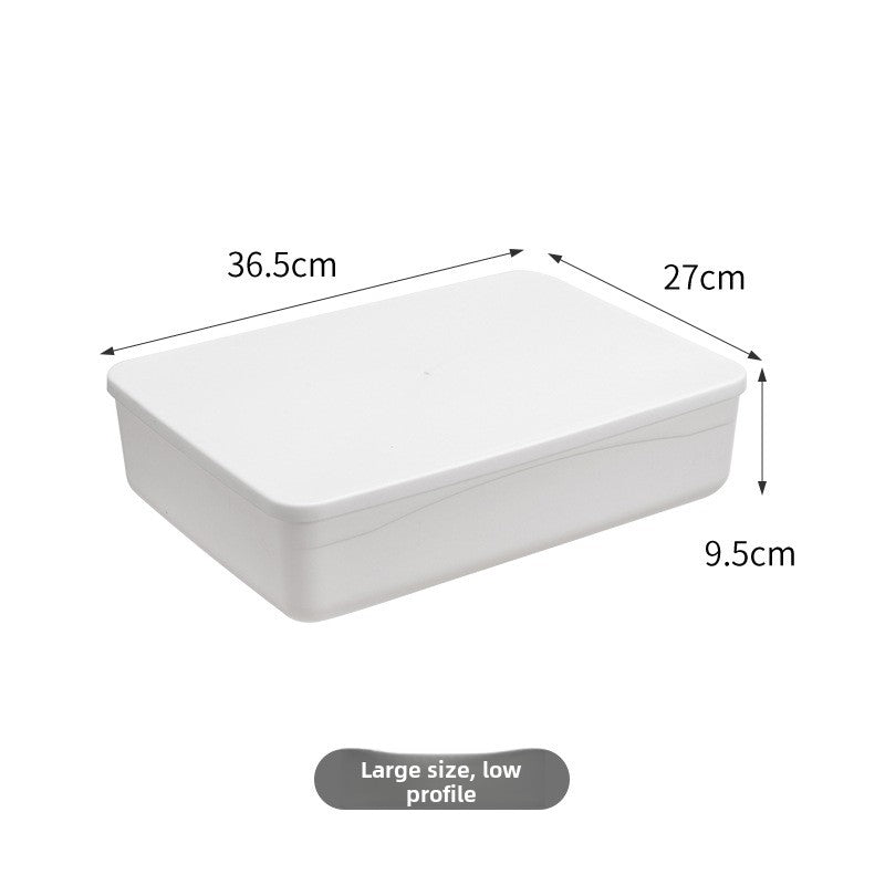 Japanese Style Plastic Storage Organizer Box