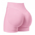 Fitness Quick-drying Yoga Shorts