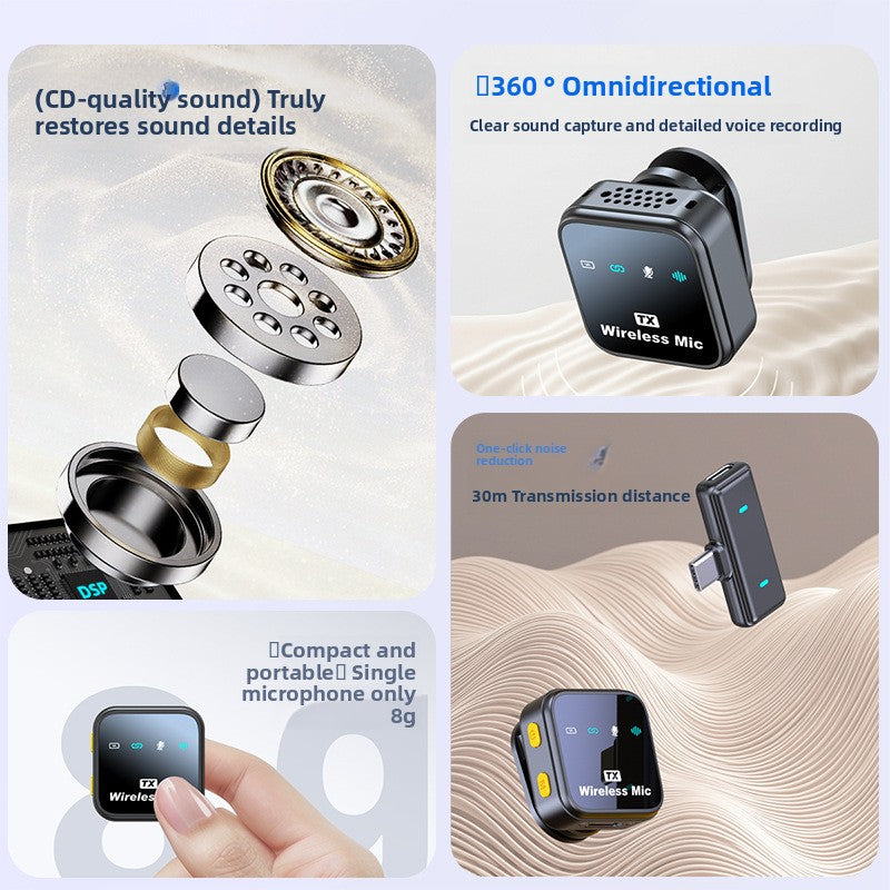 wireless microphone