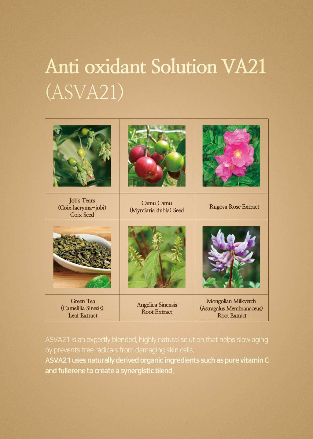 Relaco VA21 PREMIUM PURE VITAMIN C SERUM 14ml
