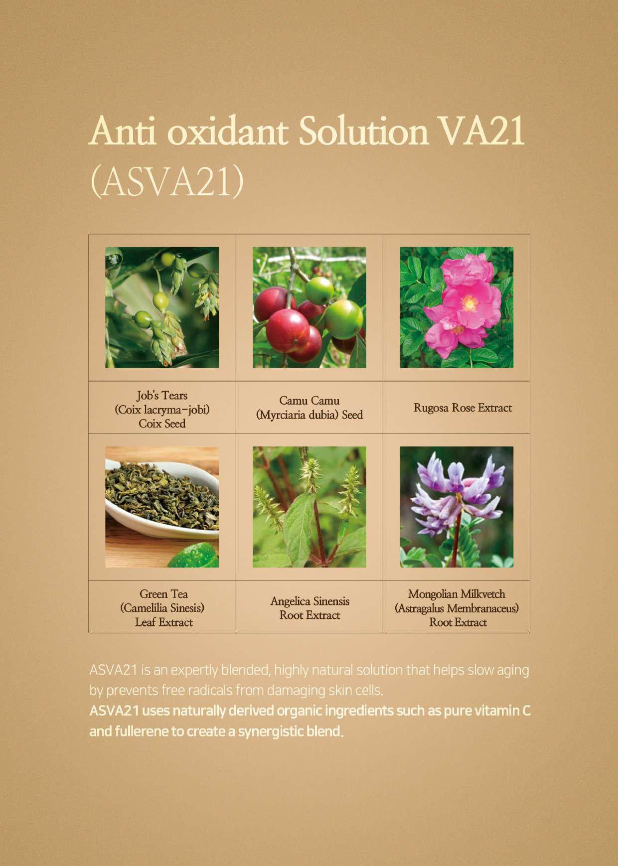 Relaco VA21 PREMIUM PURE VITAMIN C SERUM 14ml